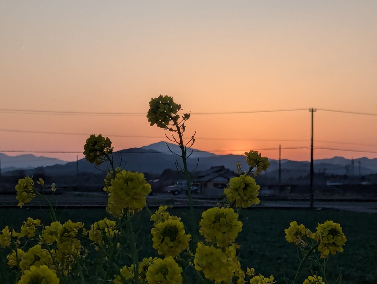 旅先での写真 tweet media