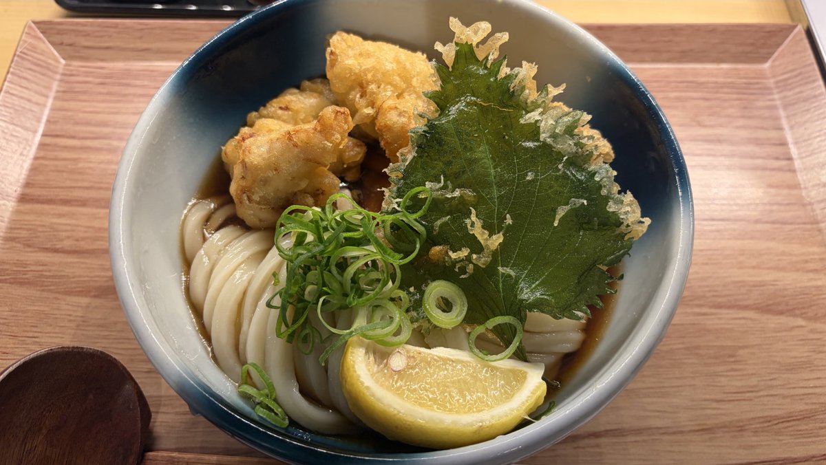 【公式】コースケ！！ tweet media