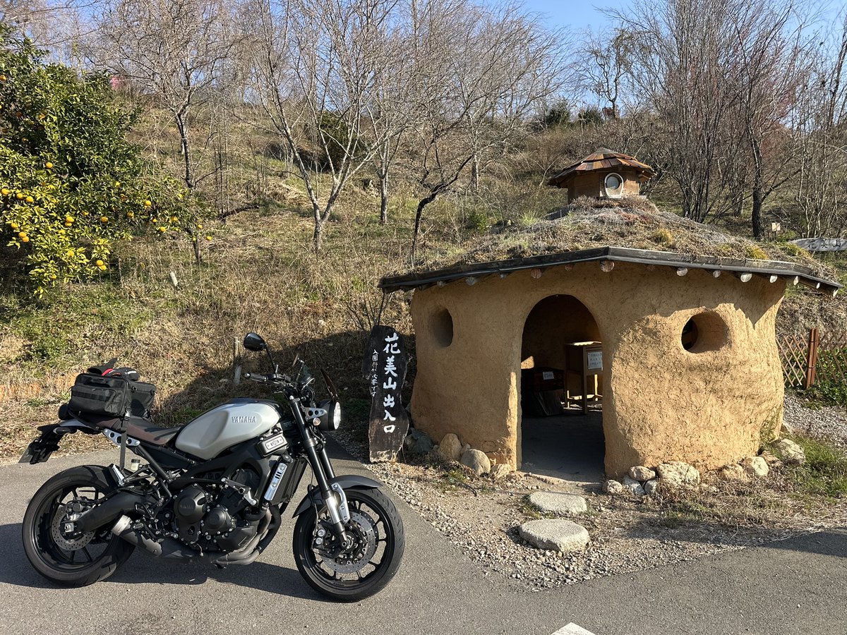 ひろっすぃ〜🦍（ハッタリ君） tweet media