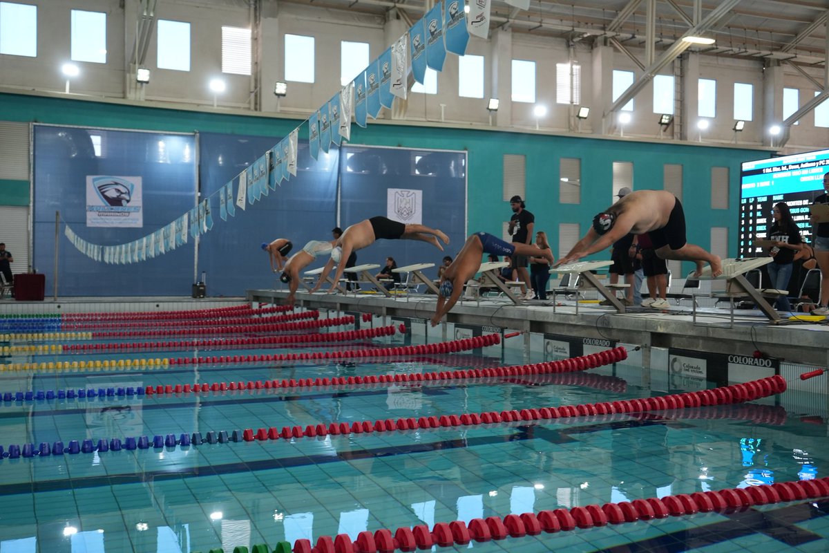 Comité Paralímpico Mexicano tweet media