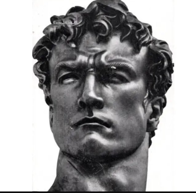 Alexander1 🌾🇭🇷🇨🇴⩩⌖ tweet media