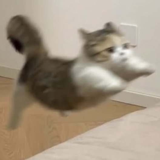 ℒ𝓊𝒾𝓈𝓂𝑒𝑒𝓌𝒾𝓈 tweet media