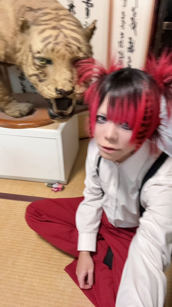 シェルミィ✞豹 tweet media