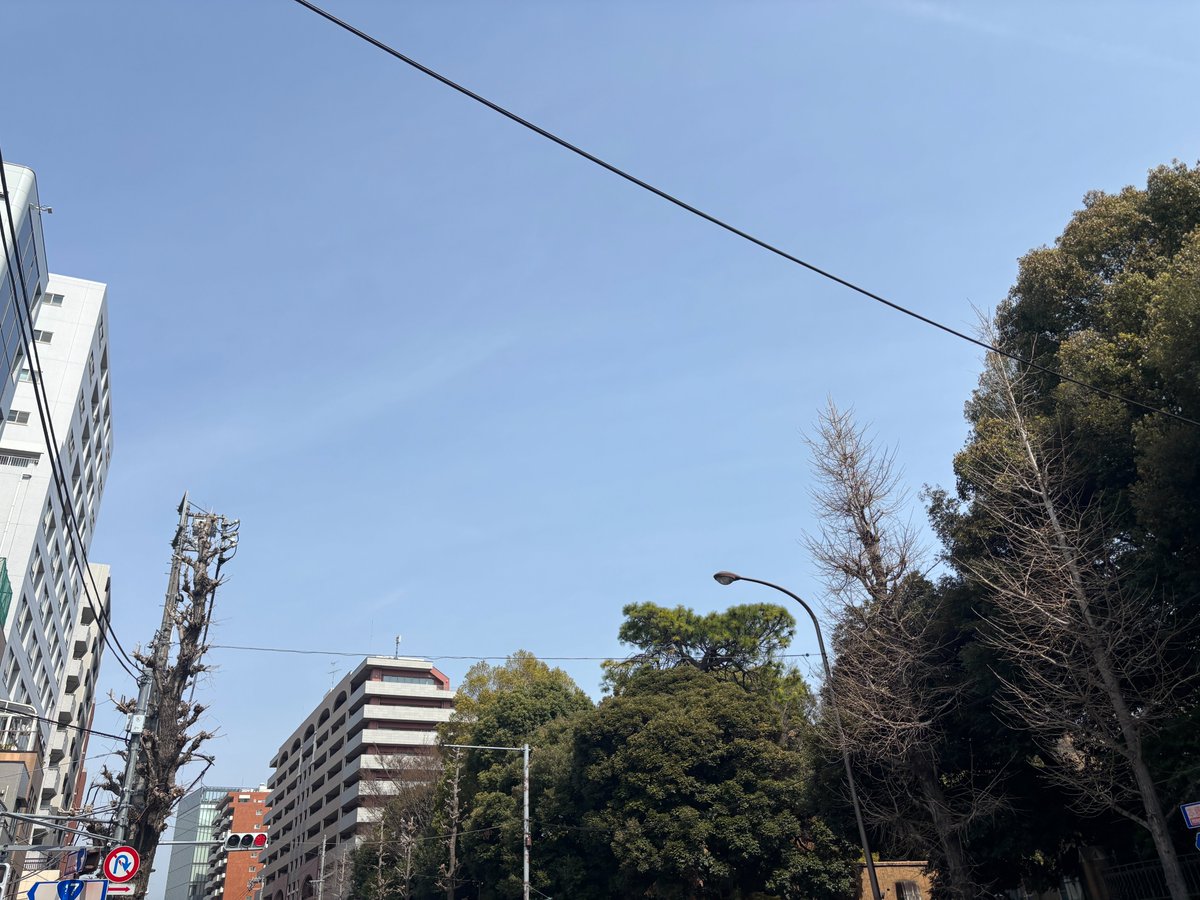 おはようございます✨
今の #文京区 西片の天気は晴れ☀気温は14℃

今日は #放送記念日 昼間は暖かいですが夜はまだ寒いので服装に困りますね
連休最終日、良い一日を😁

#今日は何の日
#イマソラ
#公式企業が地元の天気を言い合う