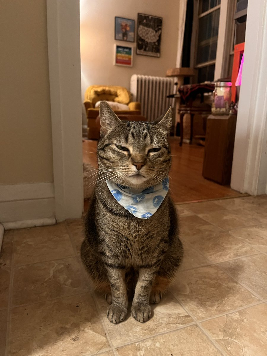 loud bark, deep bite tweet media