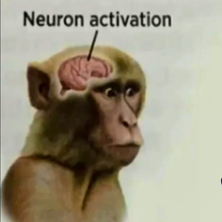 SorenFemb tweet media