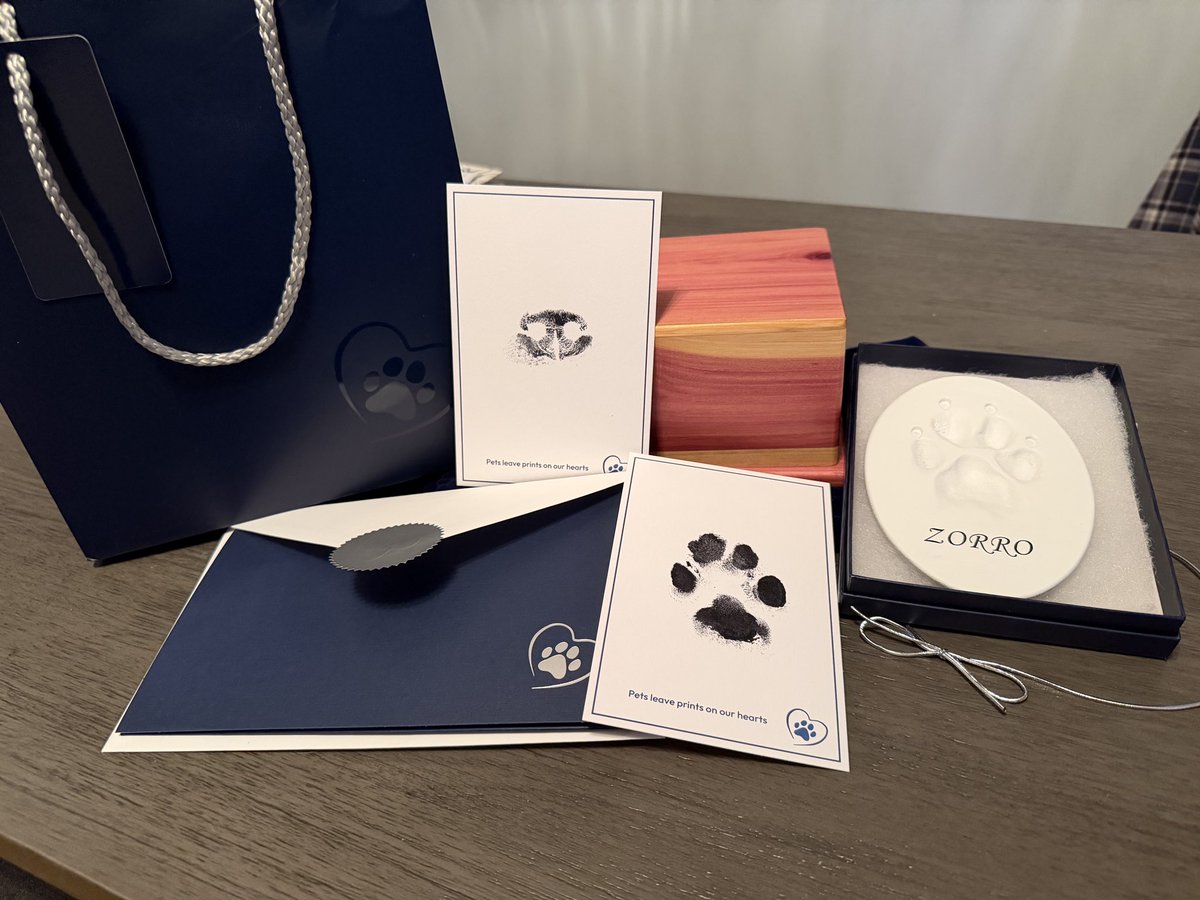 RamosFamily7's tweet image. I brought my baby home today. This pain is so overwhelming. I miss him so much. It’s so unfair that I did the right thing and the vet failed us. We deserved so much better. Zorro deserved better. 💔 #Grief #PetLoss #Love