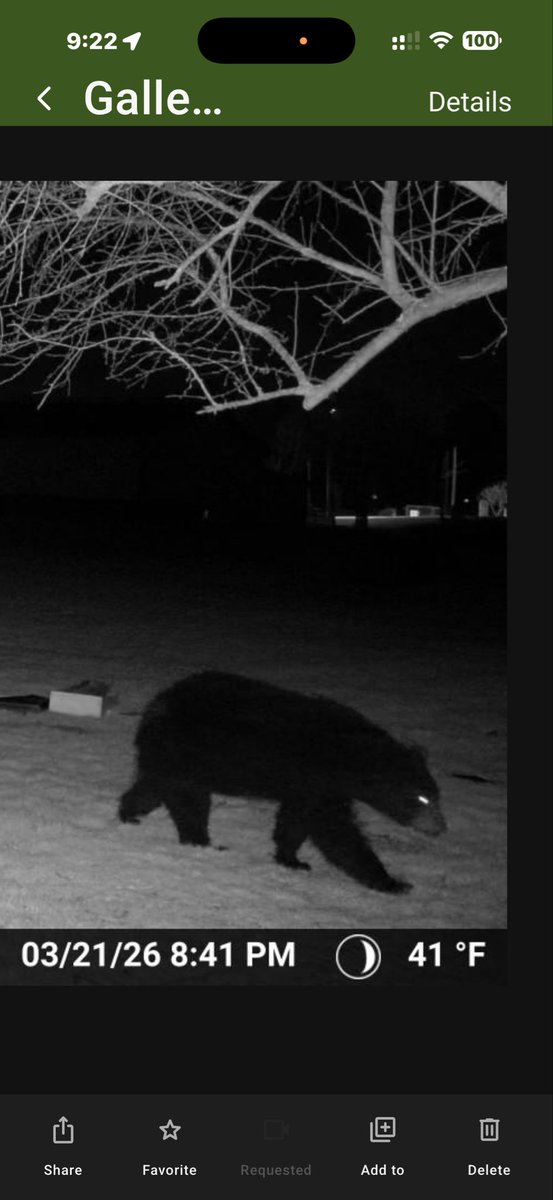 ross91172's tweet photo. @WKBN @21WFMJ near in Braceville pictures taken tonight on Route 82 in Braceville near Braceville Robinson https://t.co/AzdeLBEJNa