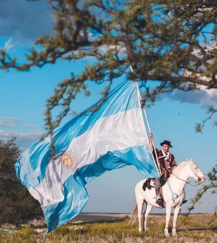 Treceve Mesie tweet media