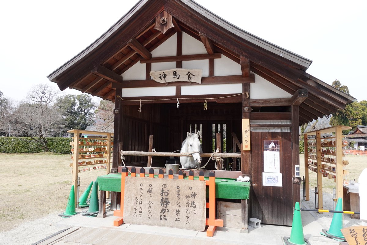 京都今これ tweet media