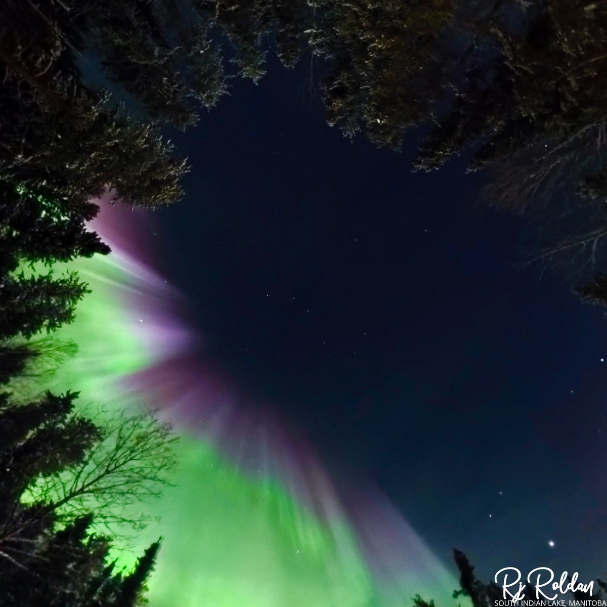 Rj Roldan tweet media