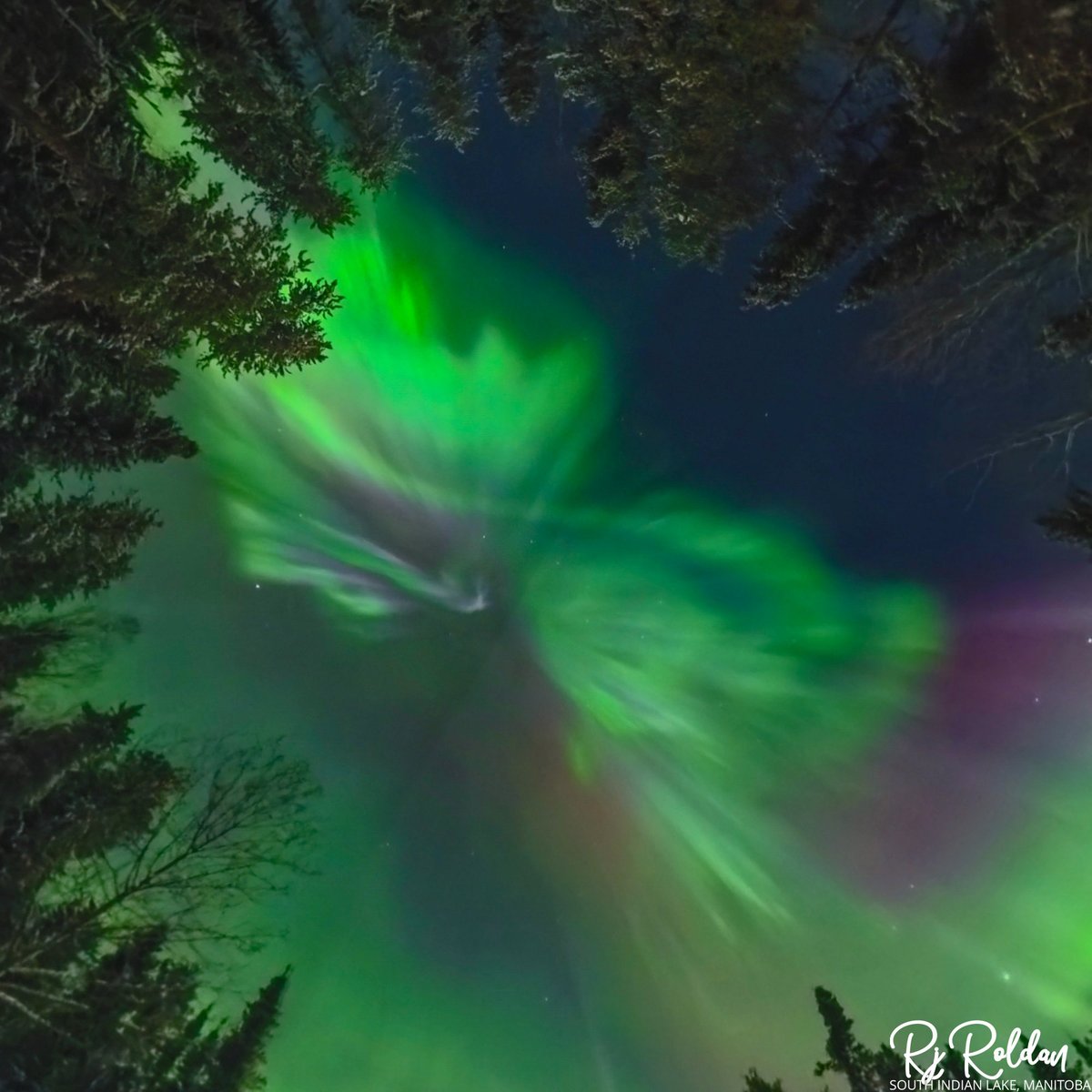 Rj Roldan tweet media