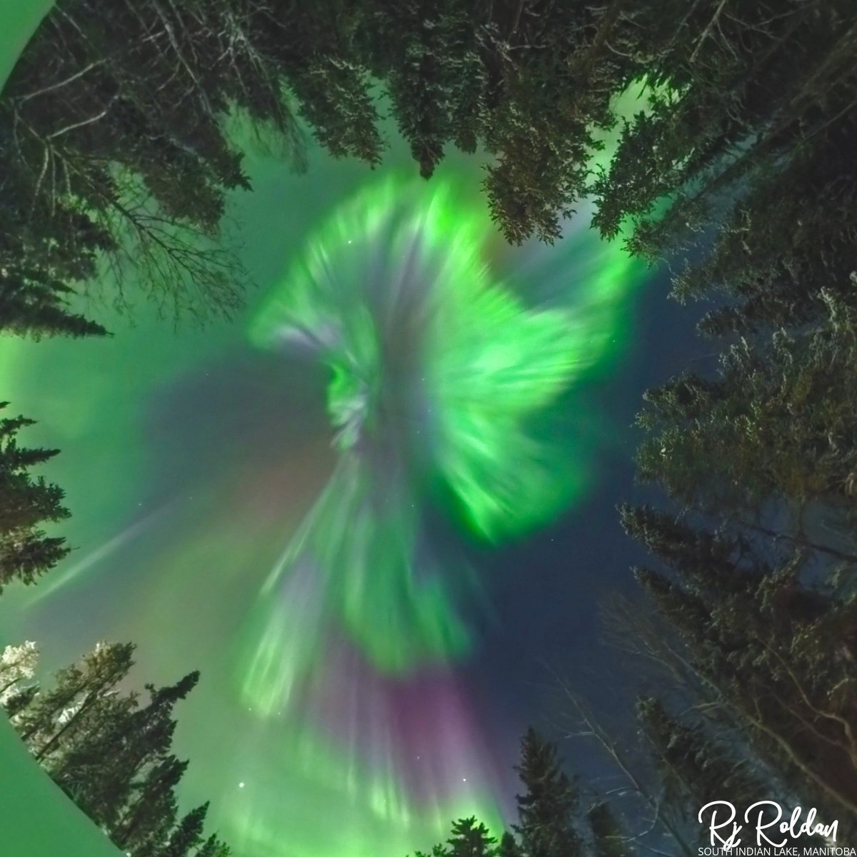 Rj Roldan tweet media