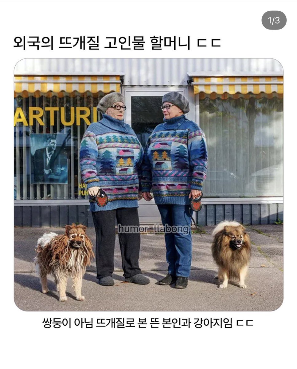 뜨개하는유노🧶 tweet media