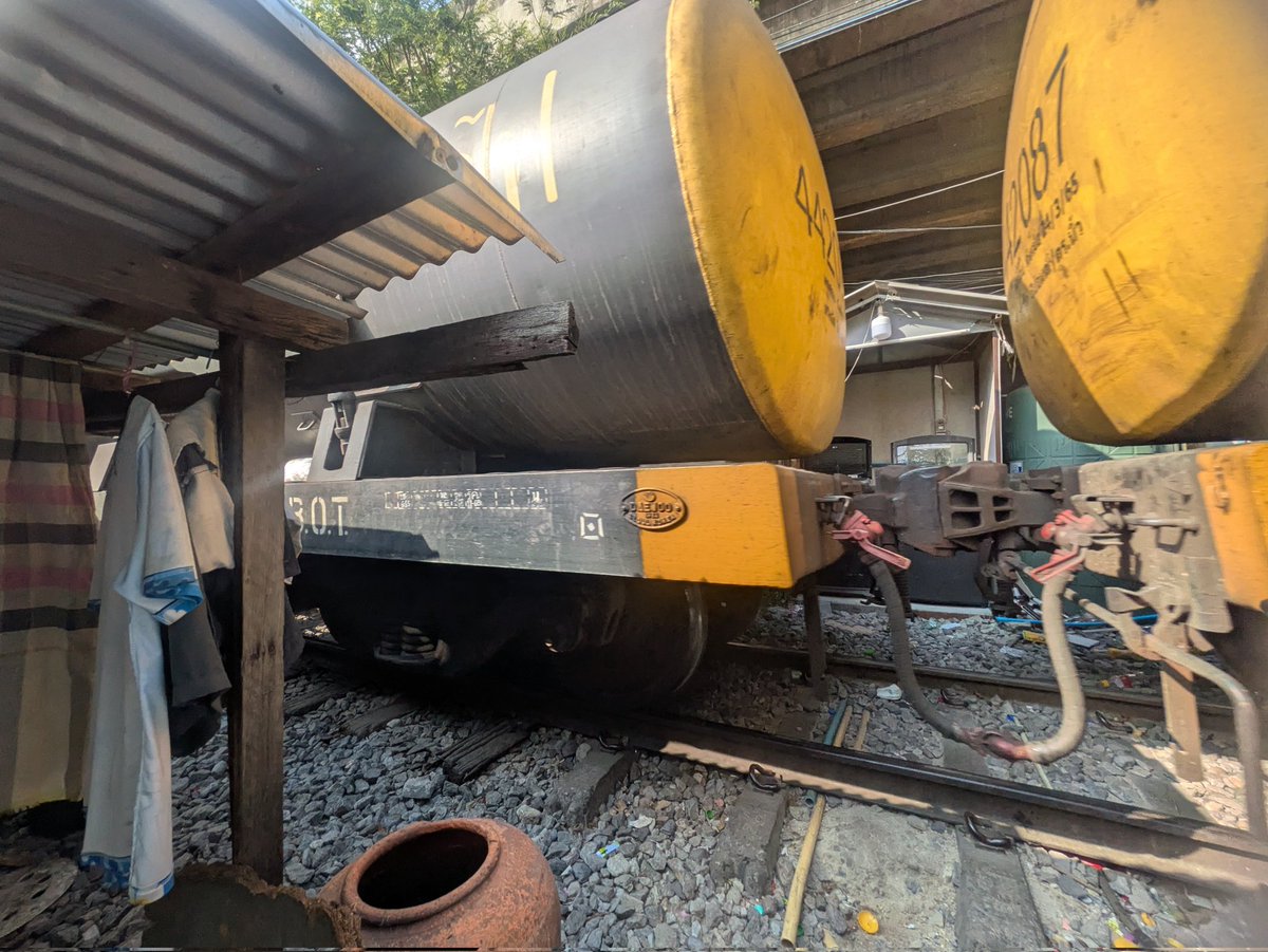 涅槃、春琴抄　共通(中の人はみつき) tweet media