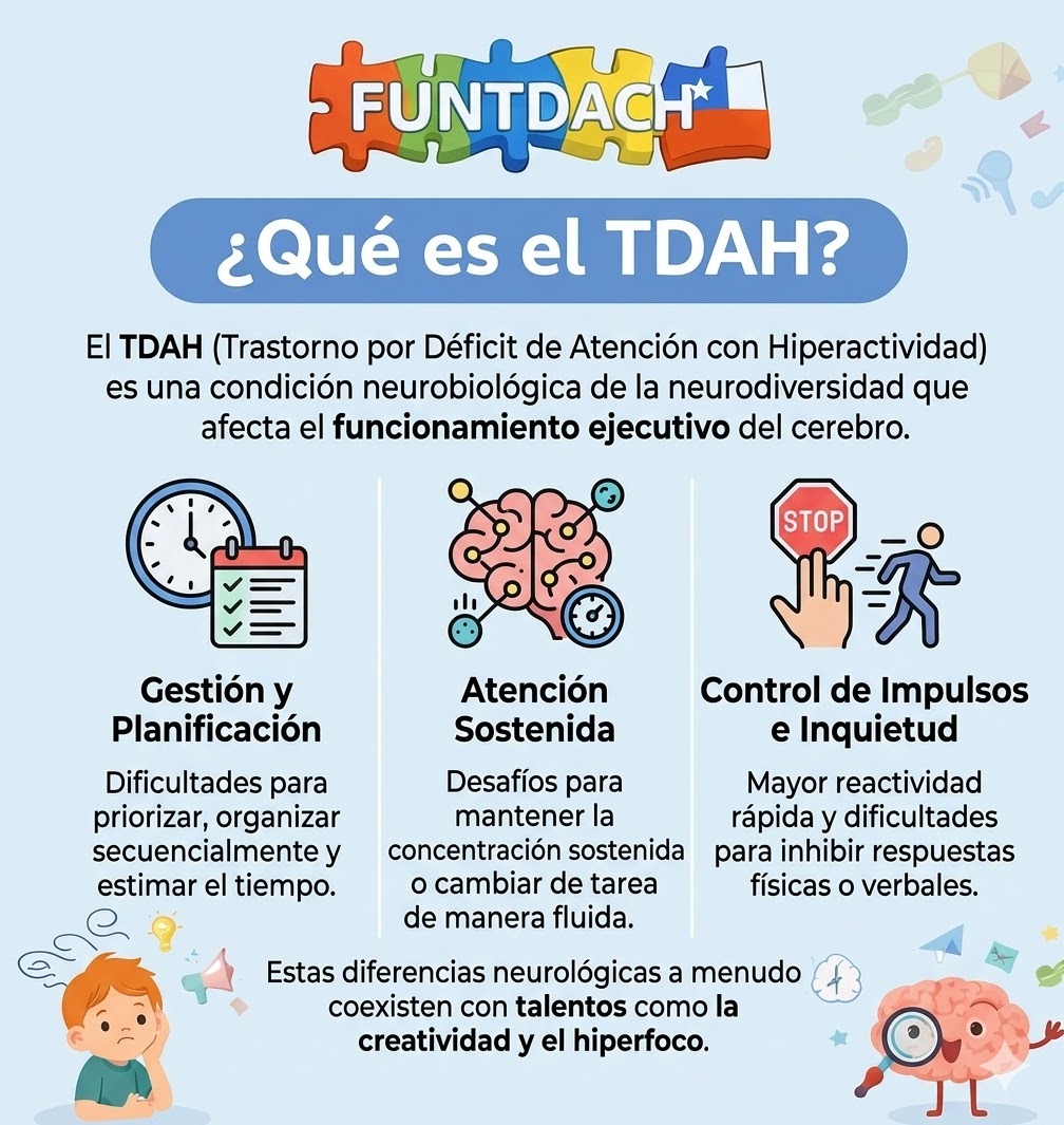 funtdach's tweet photo. 🧡🧠 TDAH:
El TDAH es una condición neurobiológica, no un problema de voluntad.
¿Qué afecta?
•Gestión
•Atención
•Impulsos
 TDAh hay 3 tipps
🔍 1. Inatento (TDA)
⚡ 2. Hiperactivo-Impulsivo
🌀 3. Combinado
Funtdach Chile 🇨🇱 🔗 
Nuestra Redes Sociales: https://t.co/mkr1IsoMuY https://t.co/jgWFTHiXHw