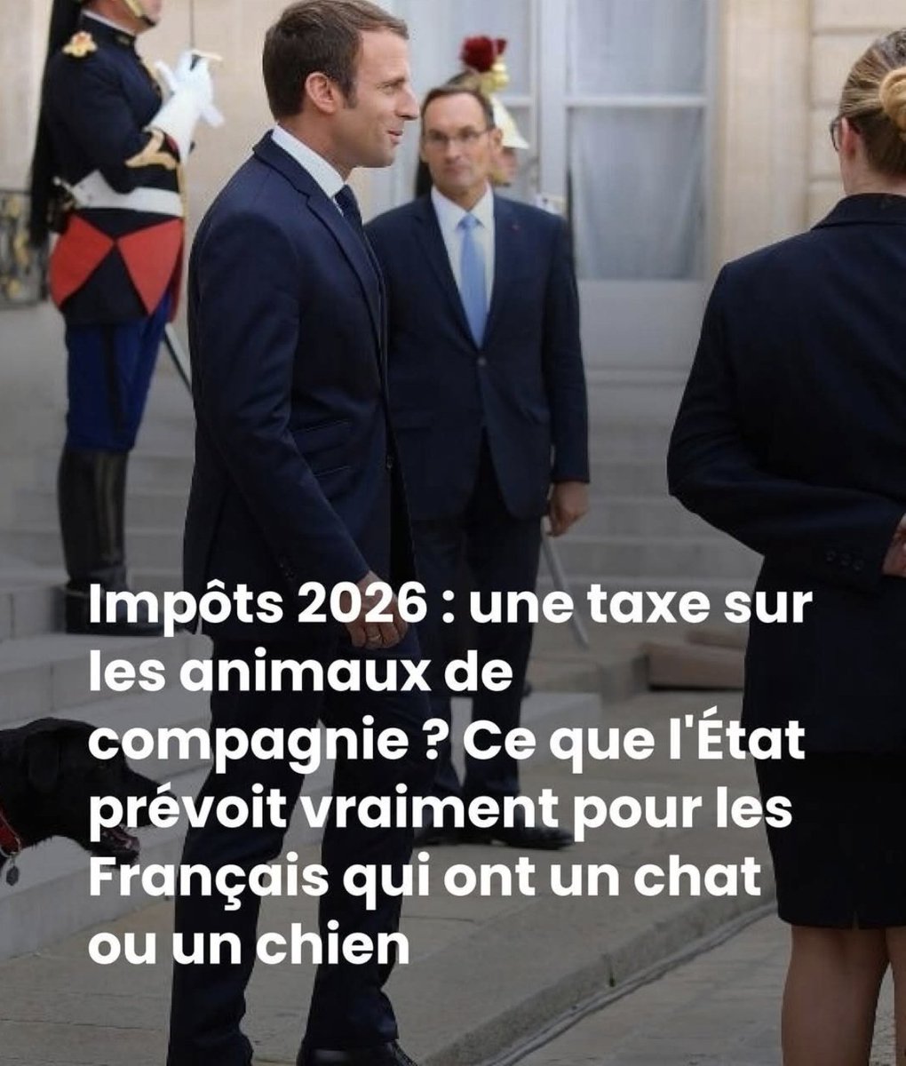 🇫🇷One tweet media