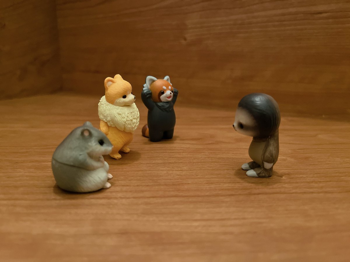 ナマケモノのkeyの日常 tweet media