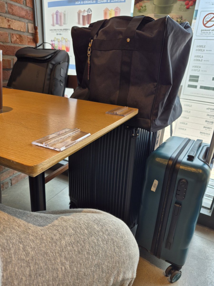 오백비 tweet media