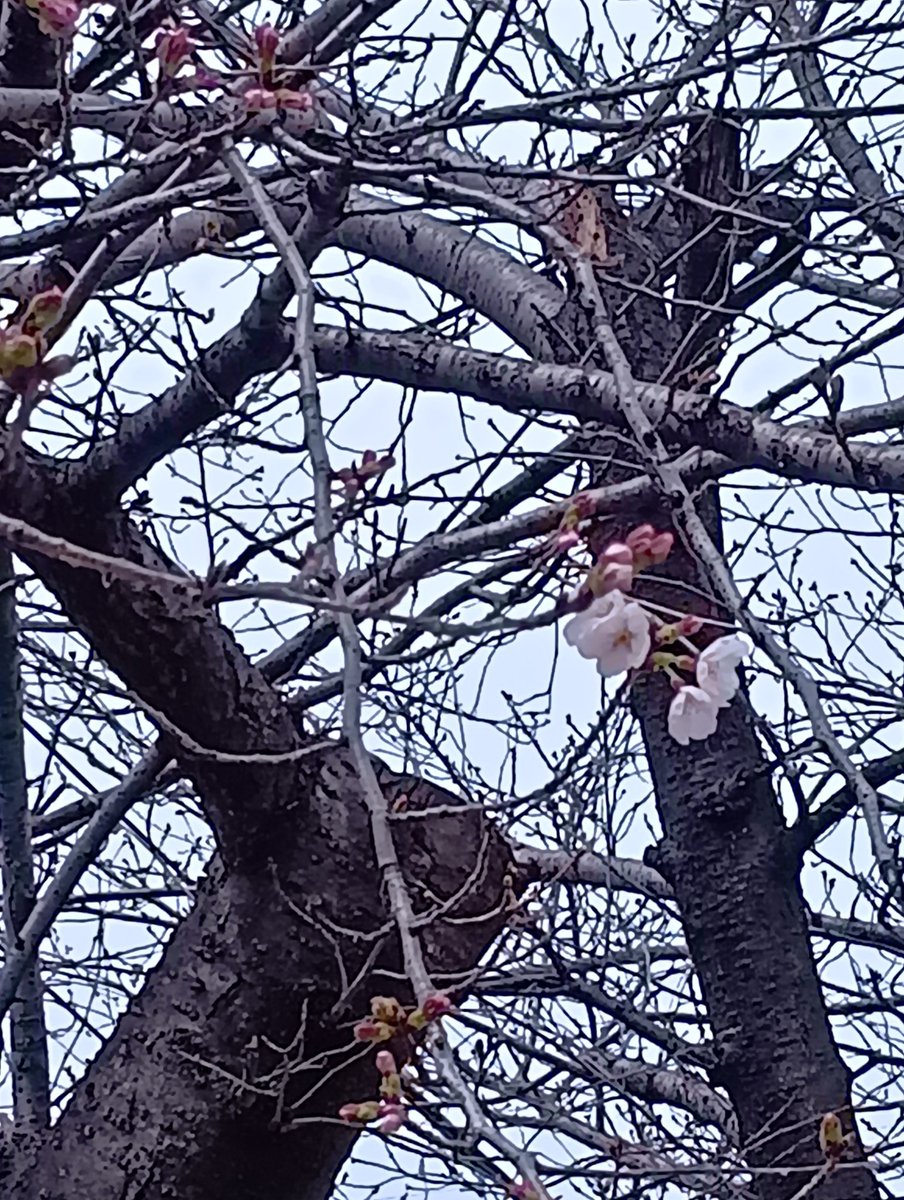 老爷爷/大叔/叔叔/学习汉语很开心 tweet media