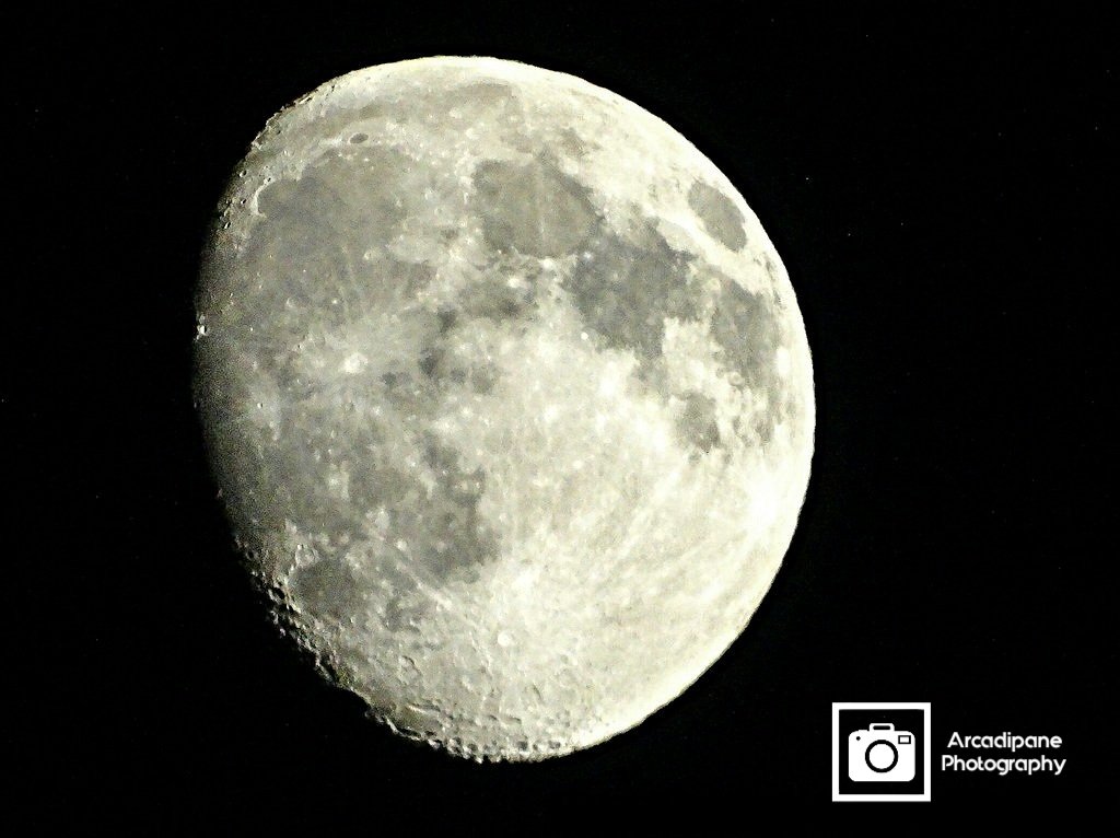 Arcadipanephotography tweet media