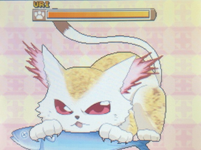 瀬田村 tweet media