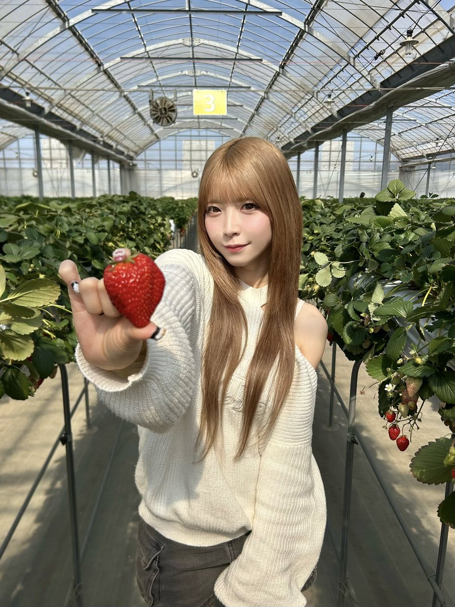 POCHI🐶💛🧡 tweet media