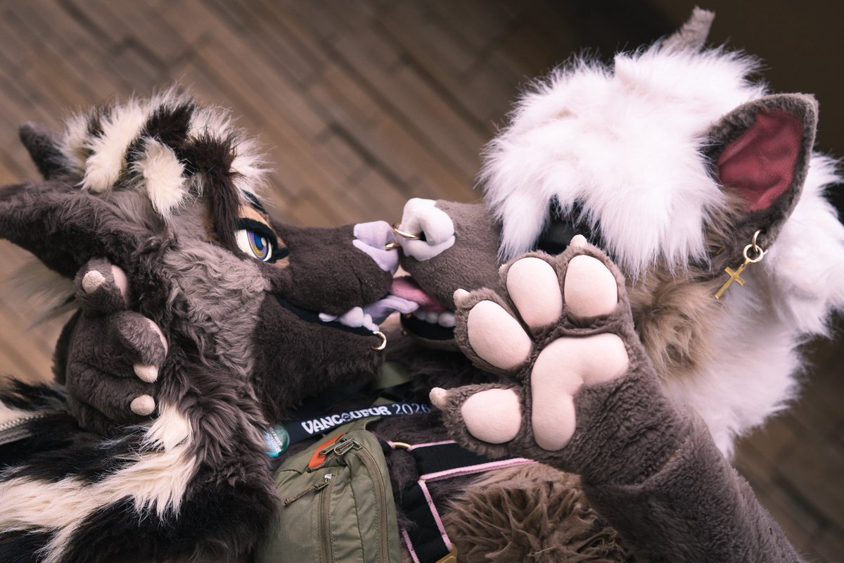 Rumor 🫏➡️LVFC tweet media