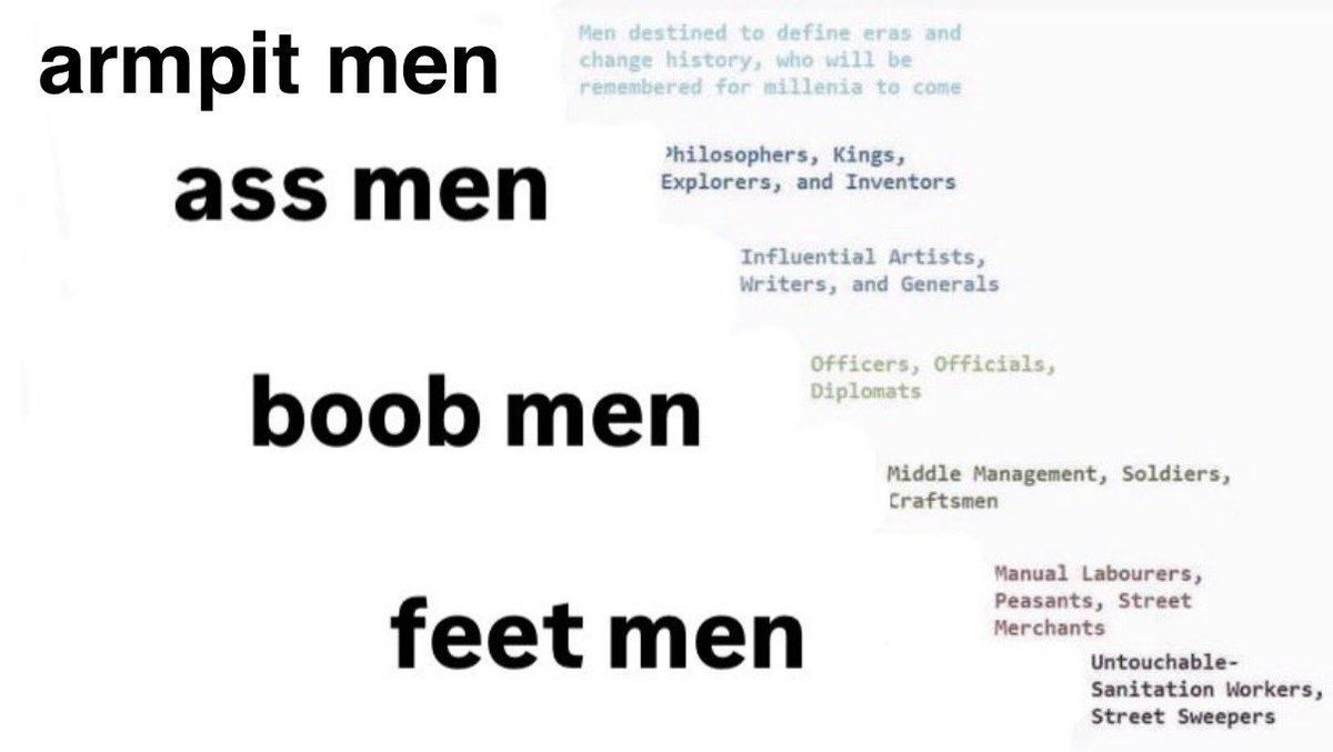 ☀️AliquisNovus☀️ tweet media