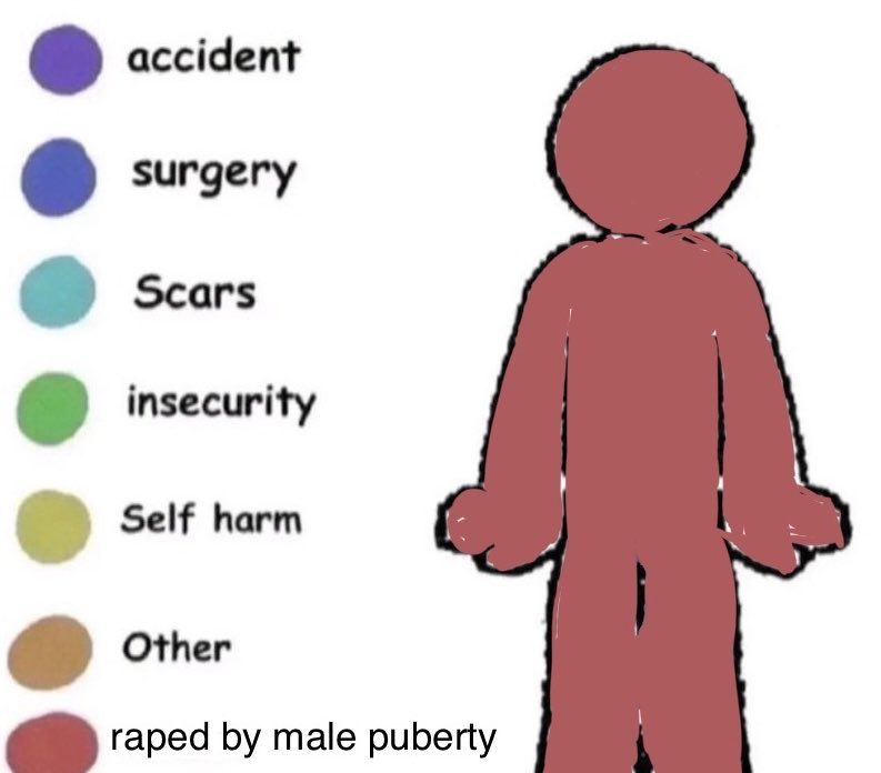 lepidopteroid tweet media