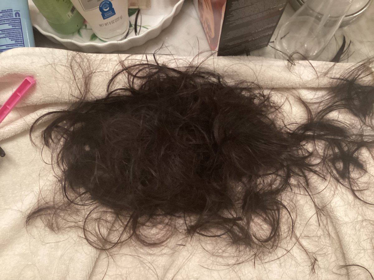 l0veannii's tweet image. Tis was all from my bush ❤️ #hashtag #goingshortok?