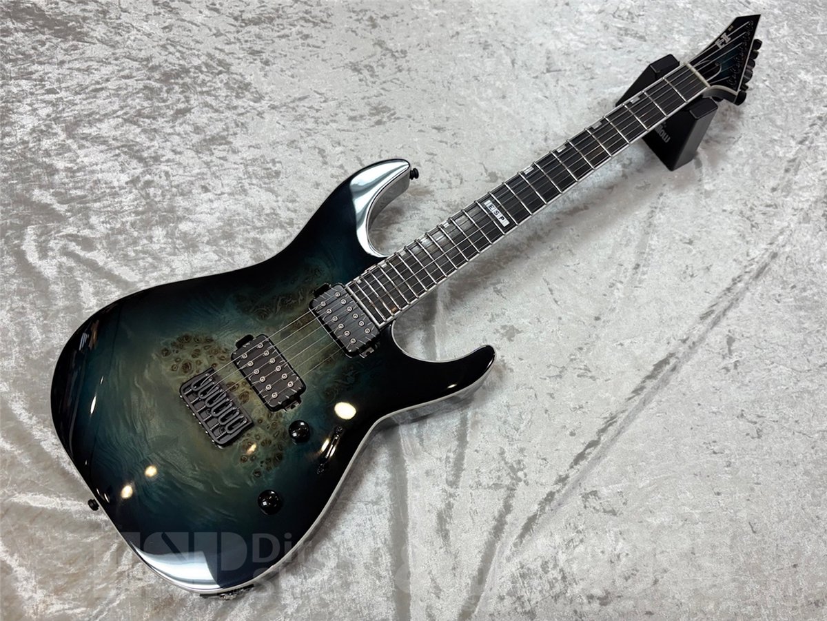 ESP Guitar Workshop tweet media