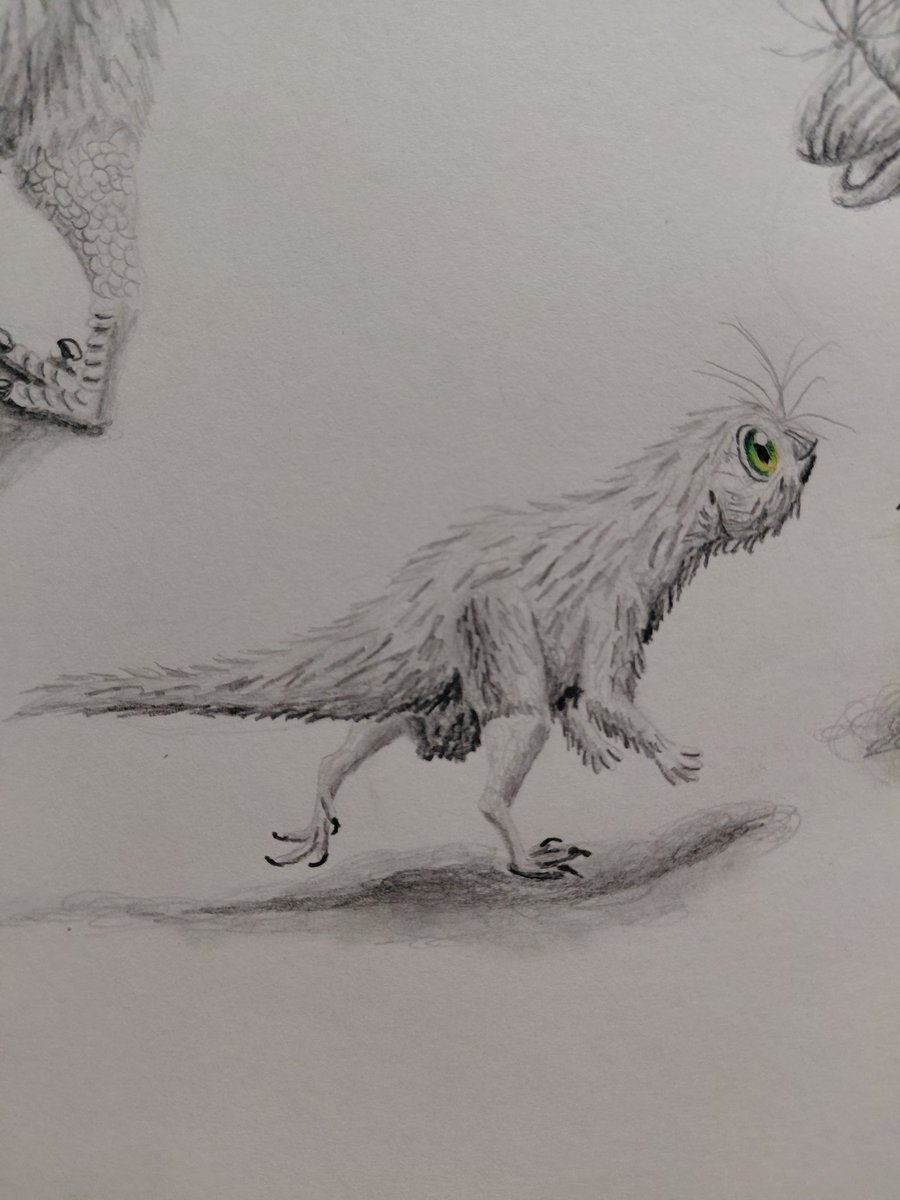 Yisarrax tweet media