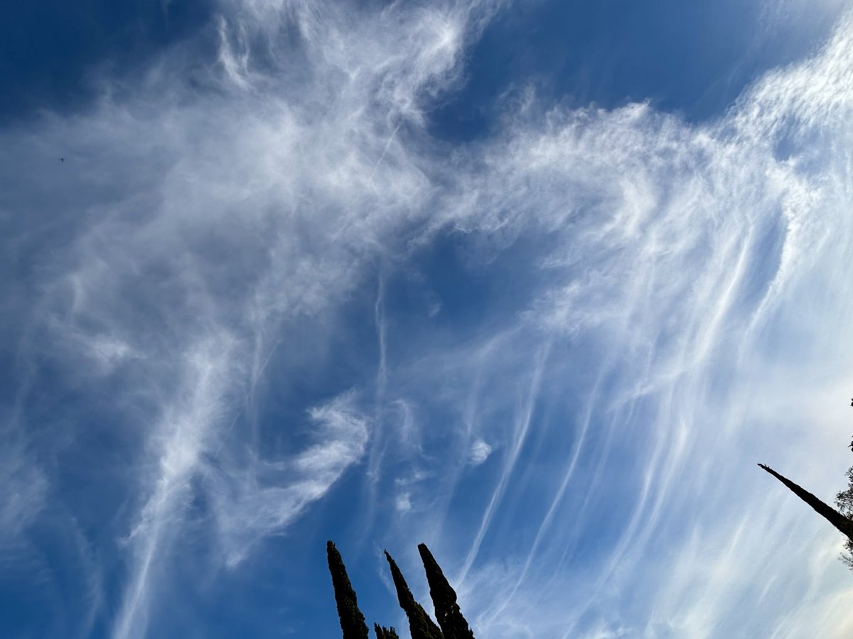 PsychoKitty tweet media