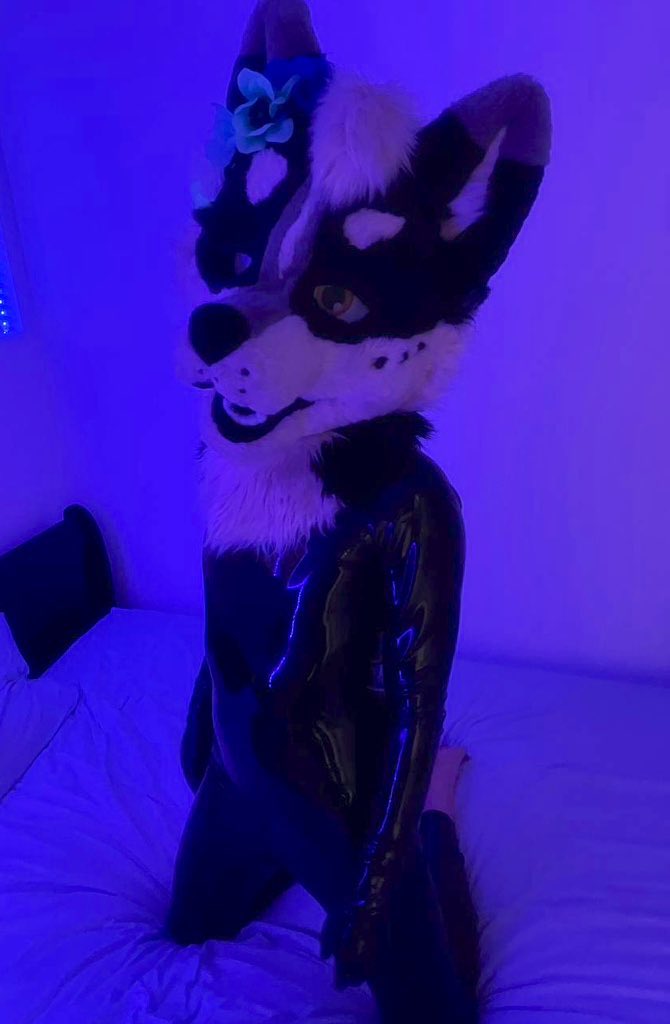 Ziggy Zaggy tweet media