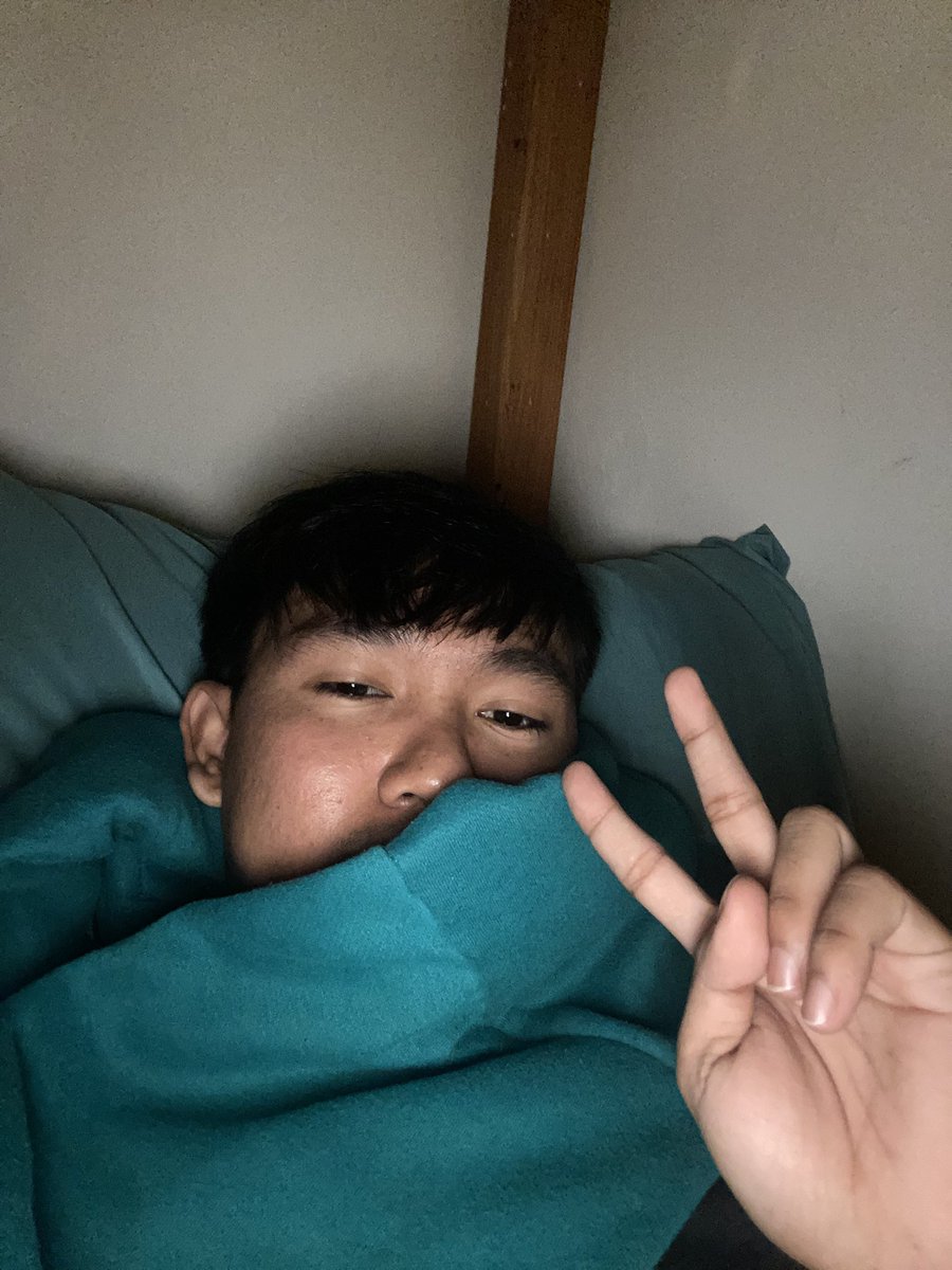 Rowdz 🐢 tweet media