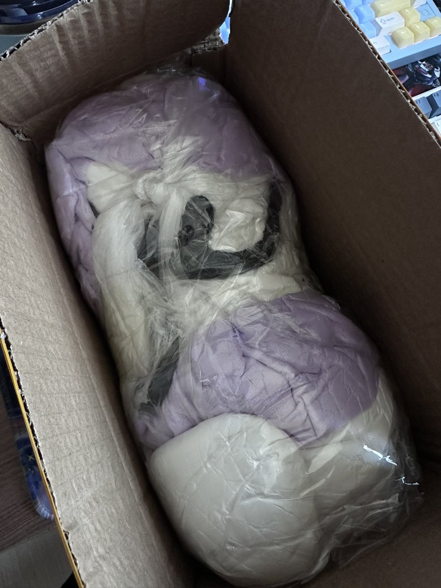 곰팡이젤리 tweet media