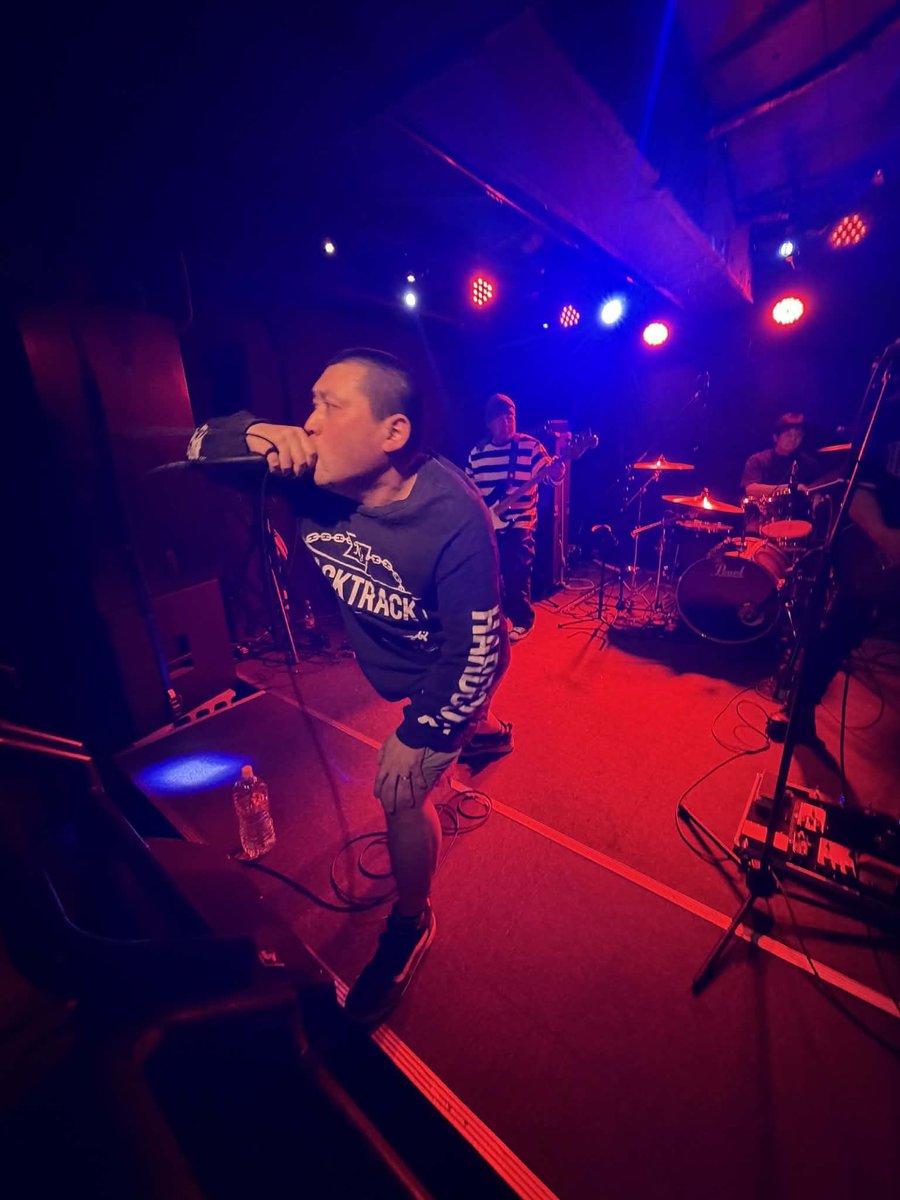 Goliath Birdeater tweet media