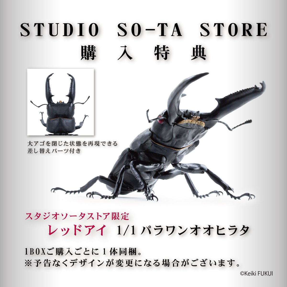 スタジオソータ【公式】 tweet media