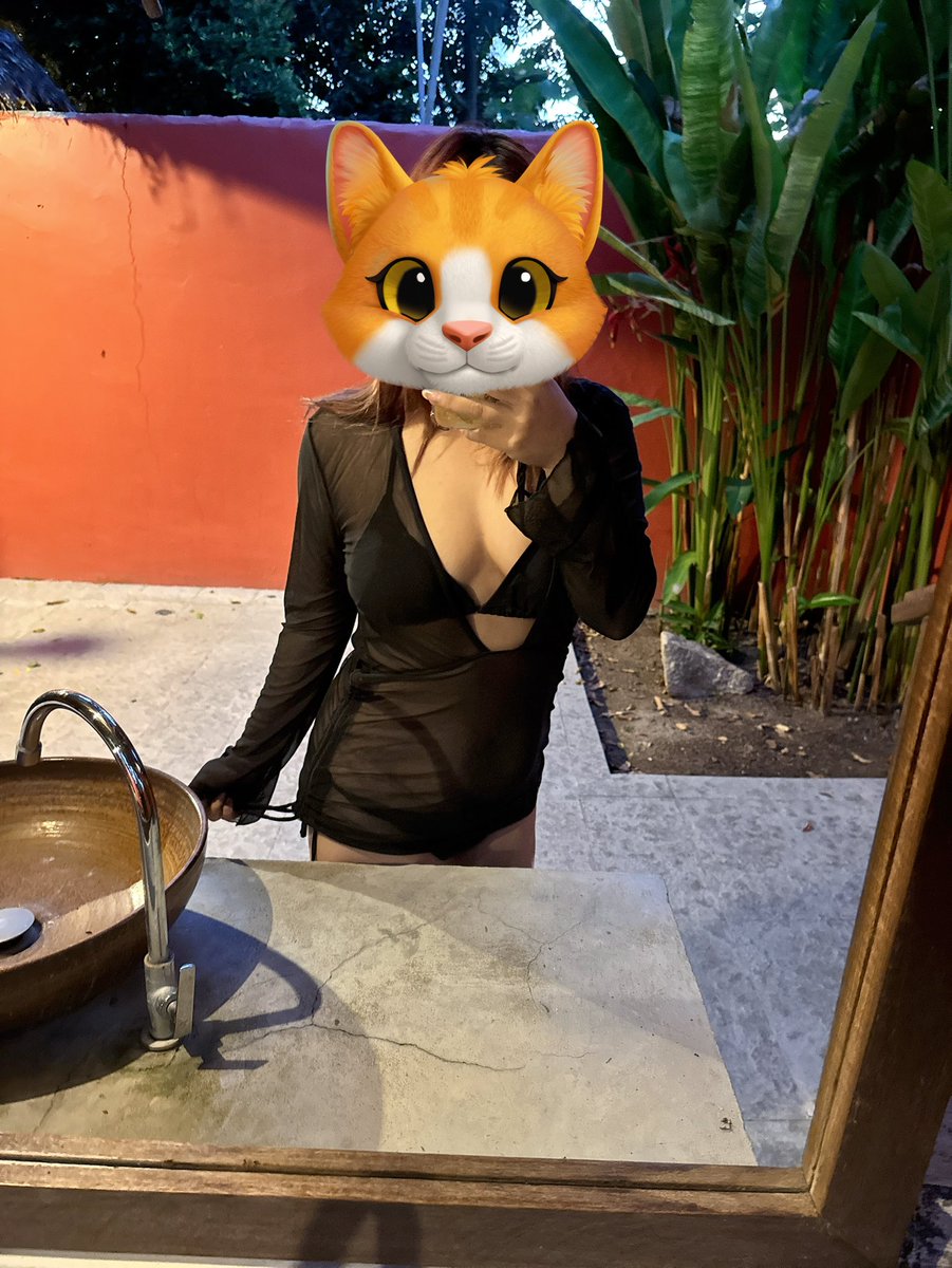 soul mate 💕_Sw🪽 tweet media