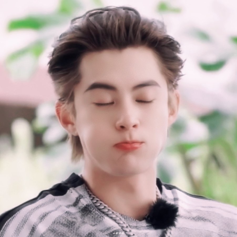 only for dylan wang tweet media