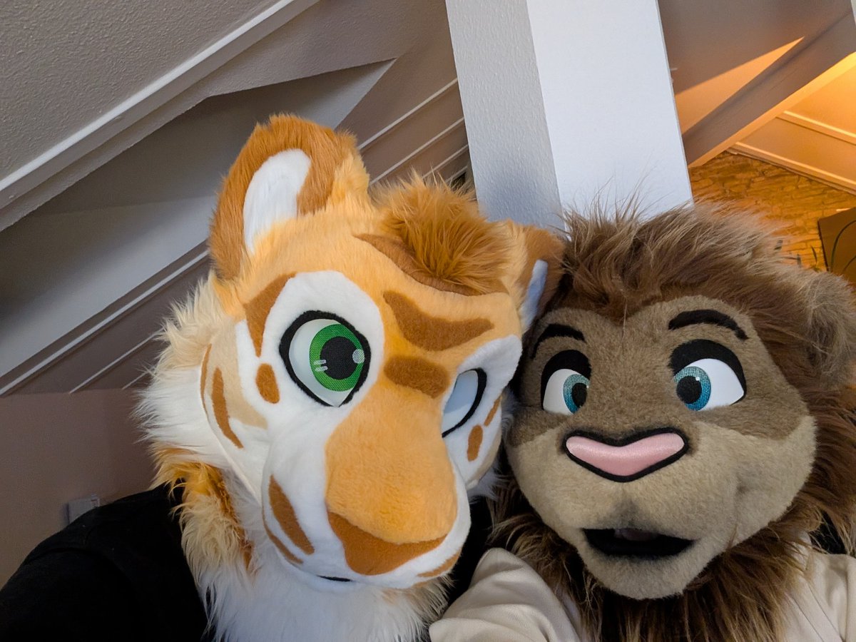 CaidaTigre tweet media