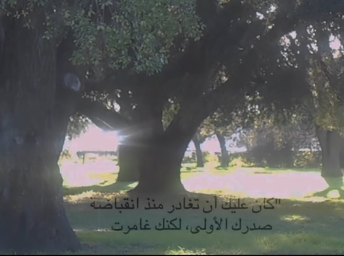 ‏ ‏Запой tweet media