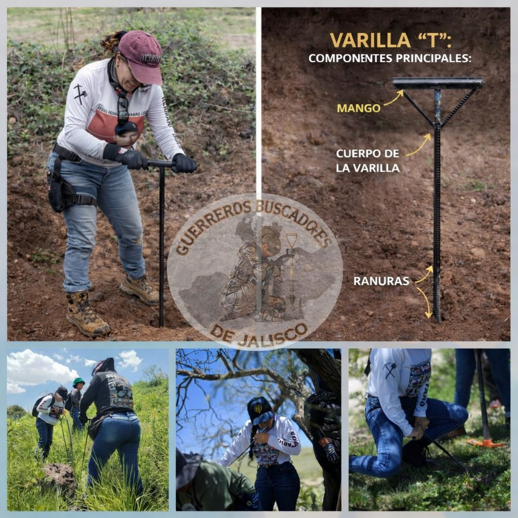 Guerreros Buscadores de Jalisco tweet media