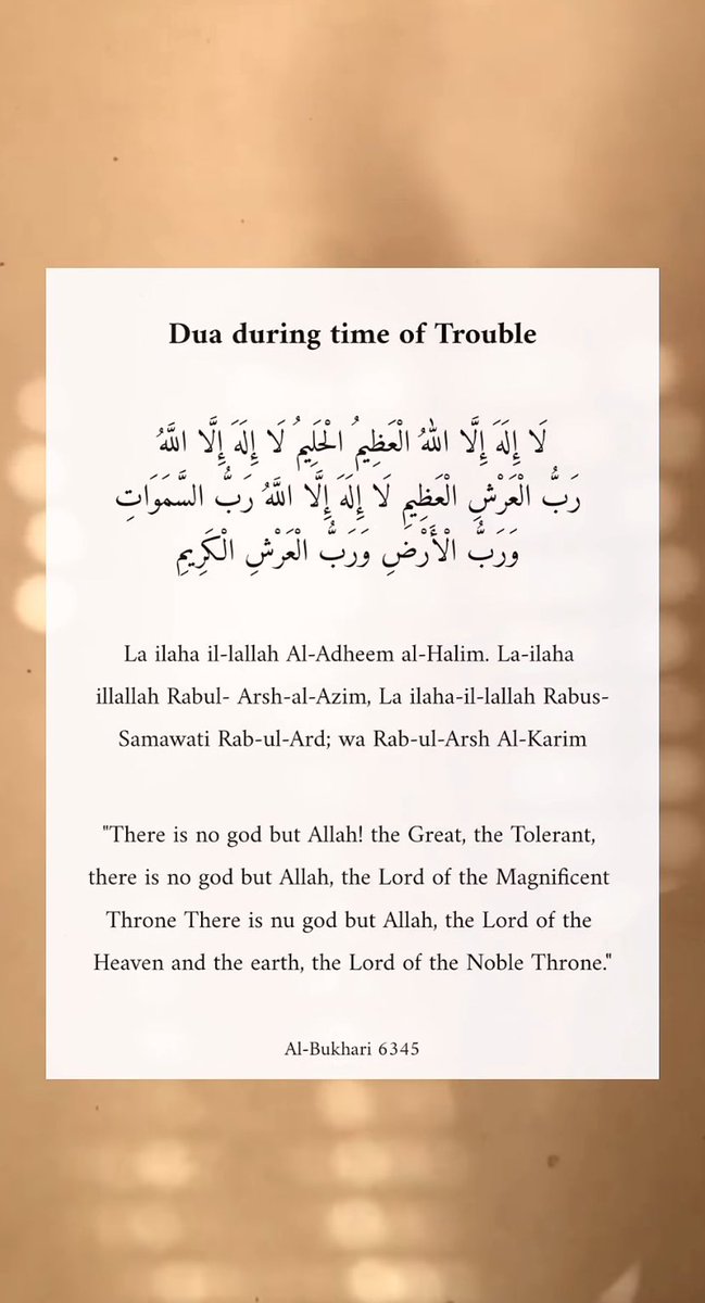 𝐌𝐚𝐡𝐝𝐢 tweet media