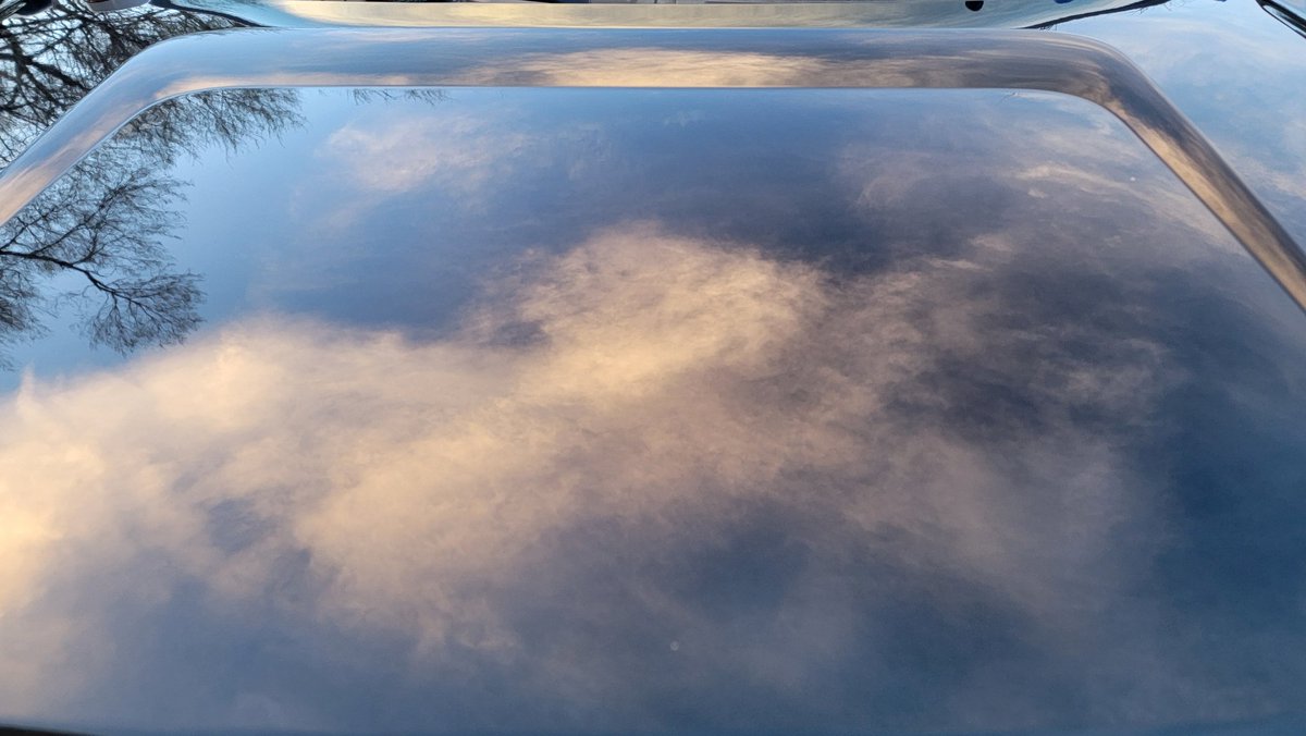 Jesse Riley tweet media