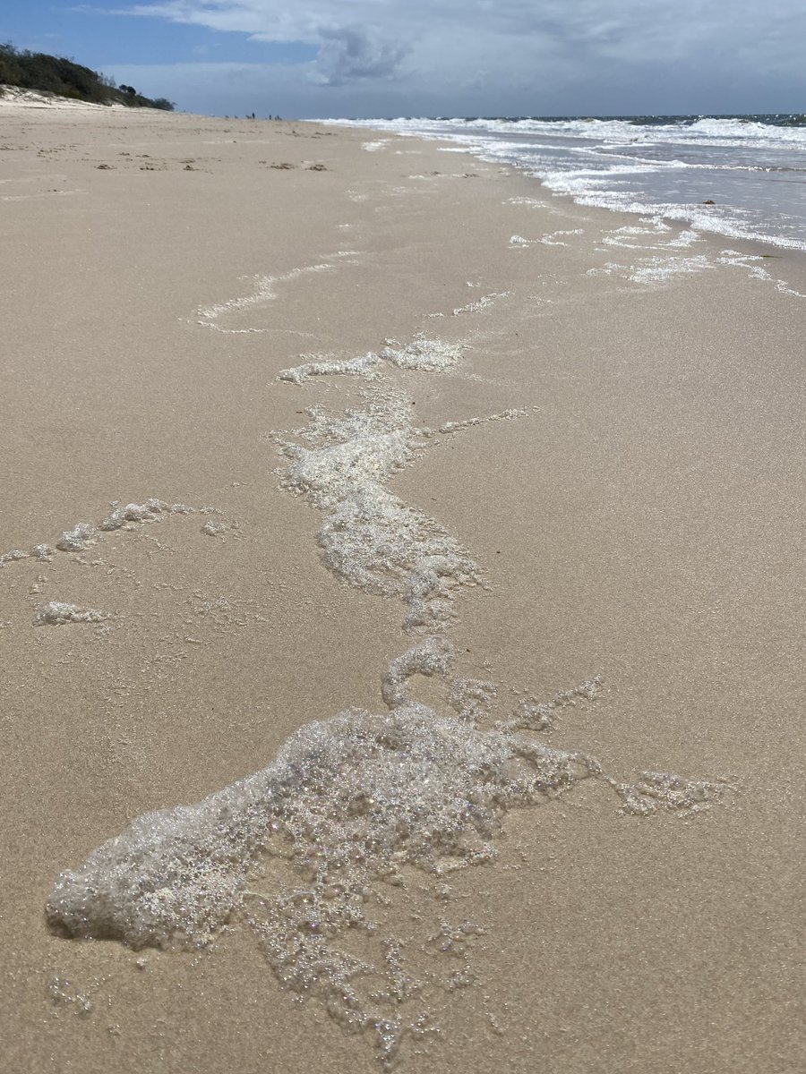 roamingfox | Alma tweet media