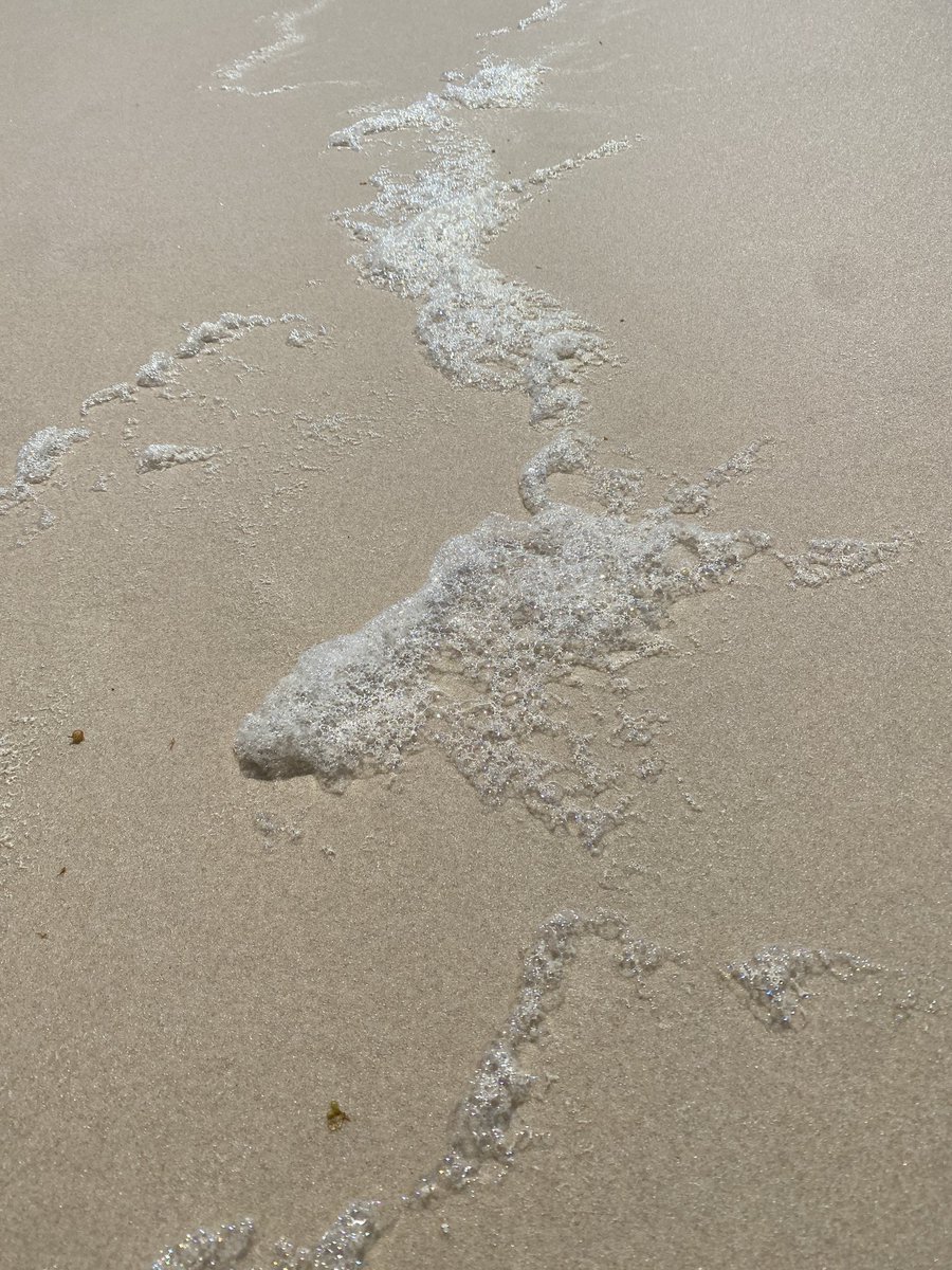 roamingfox | Alma tweet media