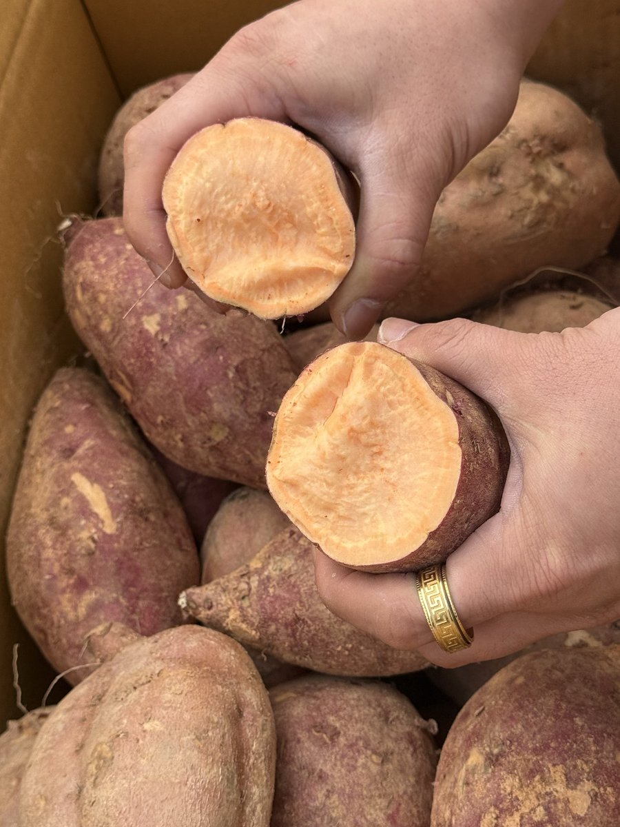 농부의아들 tweet media