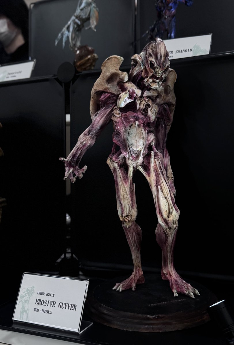 だんぴぽ tweet media